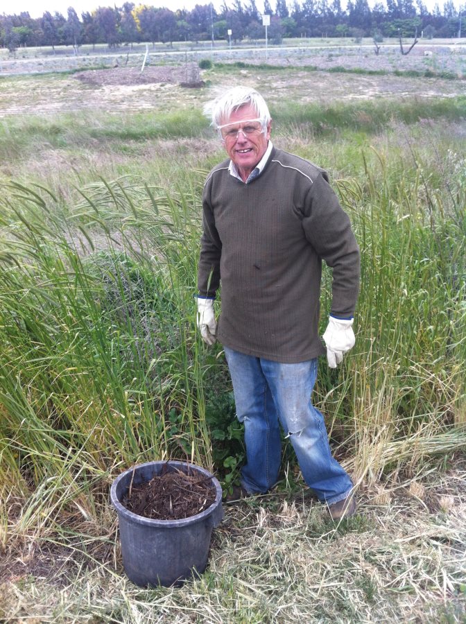 John collecting wetland plants