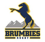 Brumbies Logo