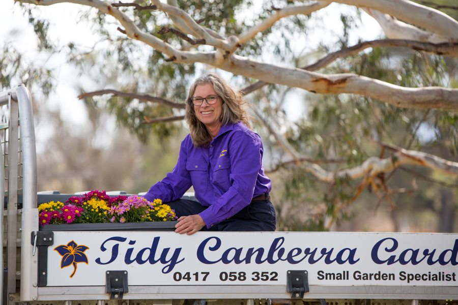 Suzie Fletcher working in her business, Tidy Canberra Gardens. Photo: supplied.