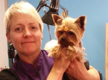 Dog’s Best Friend – grooming and pampering pooches
