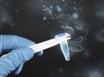 Whose sperm is it anyway?