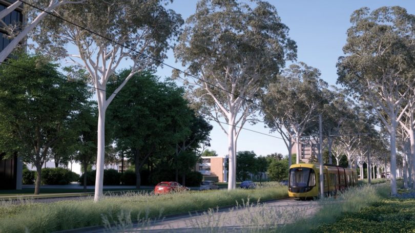 Light rail bound for Woden