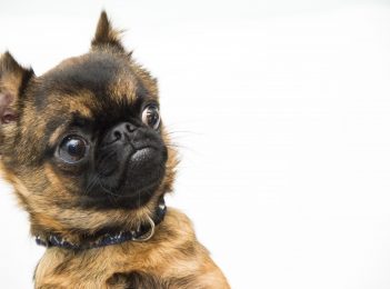 Why the hell would you choose a career in recruitment?